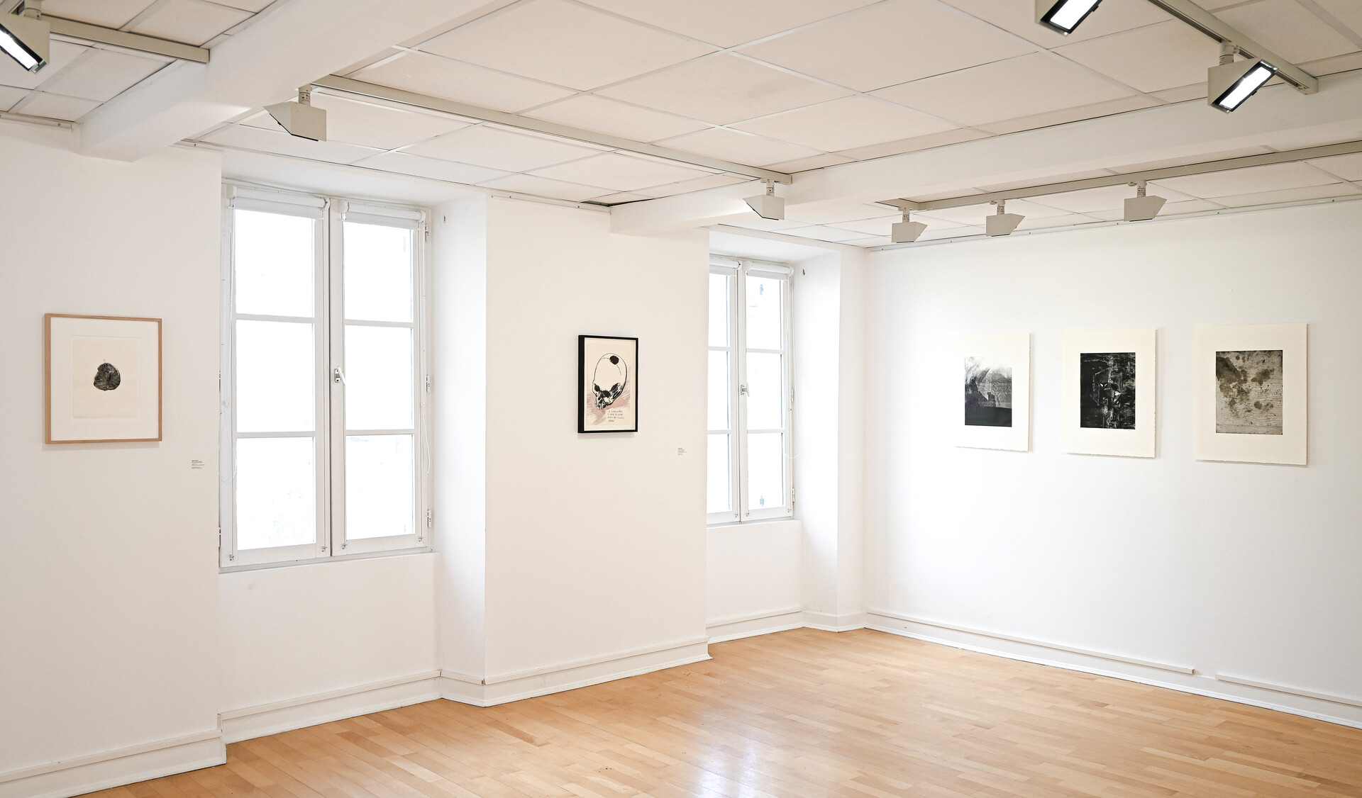 Vue exposition Monotype & Collection &copy;Cl&eacute;ment Fourment